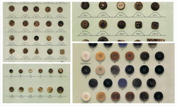 Coconut & Corozo Buttons